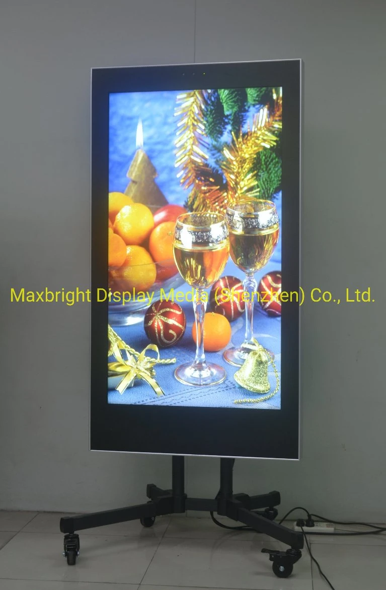 55 Inch Sunlight Viewable Outdoor Wall Mounted LCD Advertising Digital Signage Screen