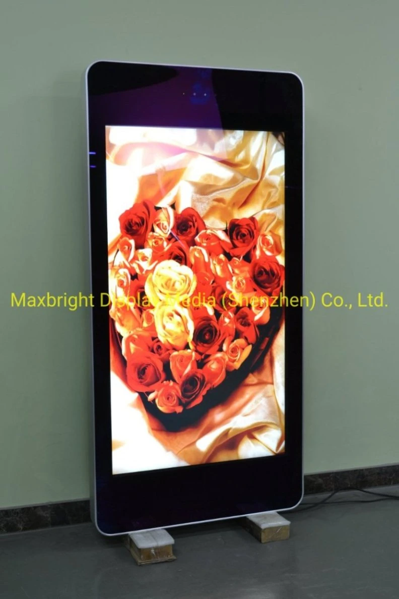 55 Inch Sunlight Viewable Outdoor Wall Mounted LCD Advertising Digital Signage Screen