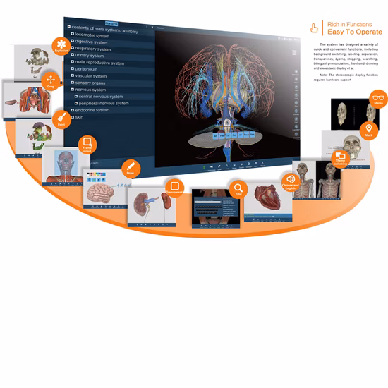 Tela sensível ao toque 3D Anatomy Education Mesa virtual de anatomia